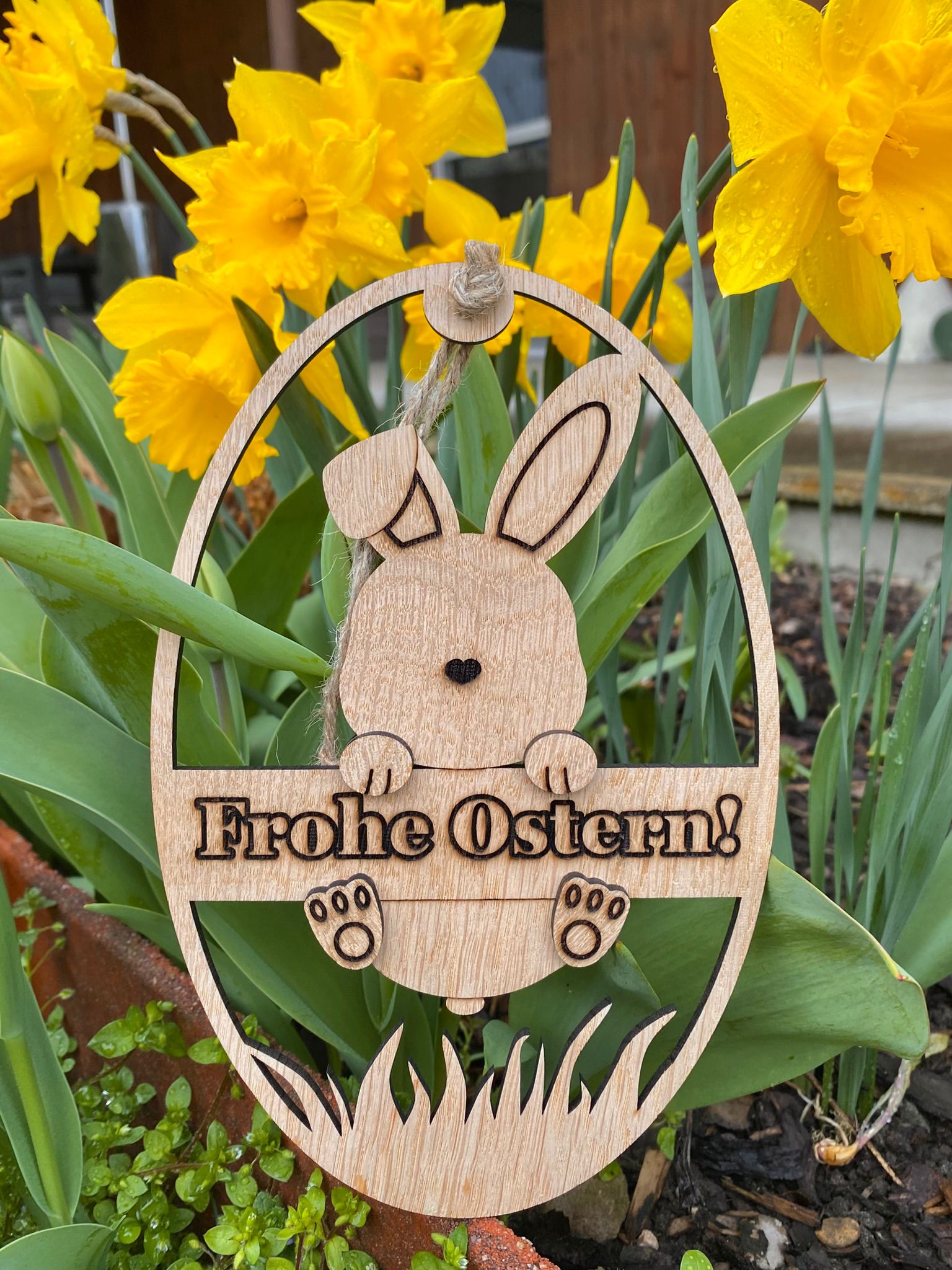 Hase